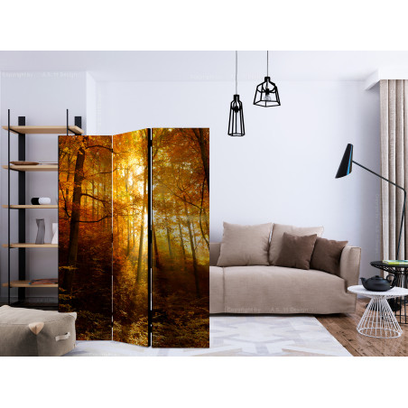Paravan Autumn Illumination [Room Dividers] 135 cm x 172 cm-01