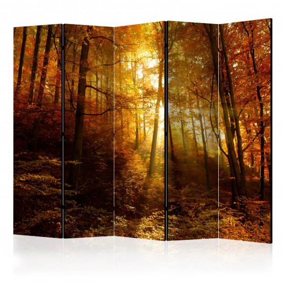 Paravan Autumn Illumination Ii [Room Dividers] 225 cm x 172 cm