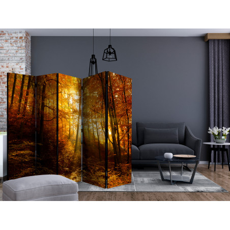 Paravan Autumn Illumination Ii [Room Dividers] 225 cm x 172 cm-01