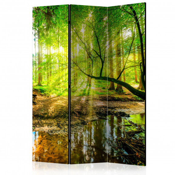 Paravan Forest Stream [Room Dividers] 135 cm x 172 cm