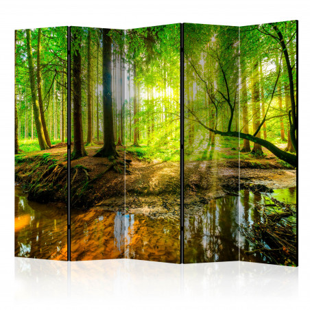 Paravan Forest Stream Ii [Room Dividers] 225 cm x 172 cm-01