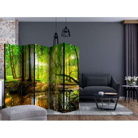 Paravan Forest Stream Ii [Room Dividers] 225 cm x 172 cm-01