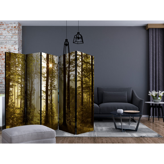 Paravan Forest: Morning Sunlight Ii [Room Dividers] 225 cm x 172 cm Artgeist