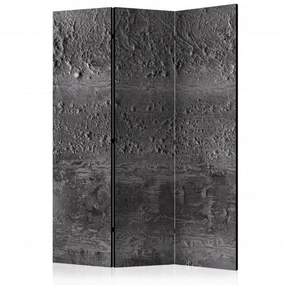 Paravan Grey Storm [Room Dividers] 135 cm x 172 cm