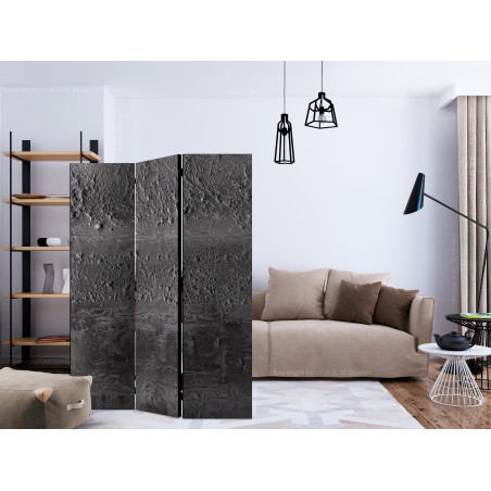 Paravan Grey Storm [Room Dividers] 135 cm x 172 cm-01