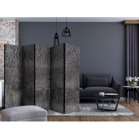 Paravan Grey Storm Ii [Room Dividers] 225 cm x 172 cm-01