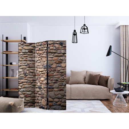 Paravan Stony Varieties [Room Dividers] 135 cm x 172 cm-01