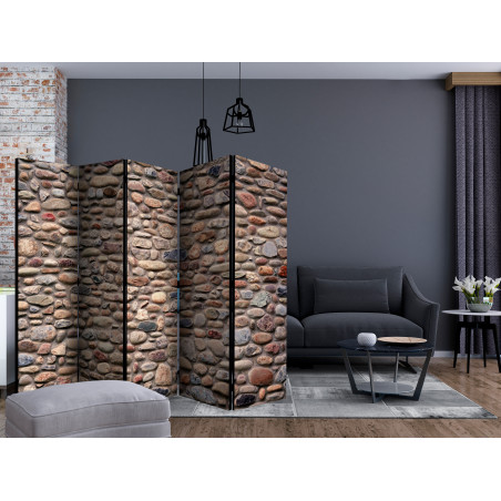 Paravan Stony Varieties Ii [Room Dividers] 225 cm x 172 cm-01