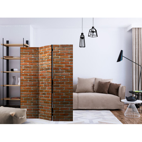 Paravan Urban Border [Room Dividers] 135 cm x 172 cm-01