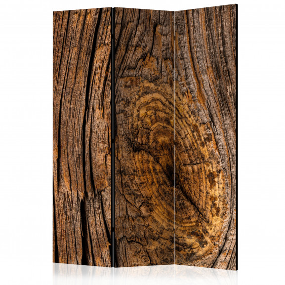 Paravan Old Tree [Room Dividers] 135 cm x 172 cm