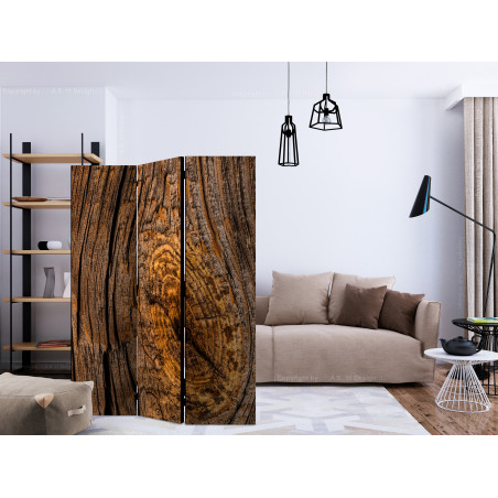 Paravan Old Tree [Room Dividers] 135 cm x 172 cm-01