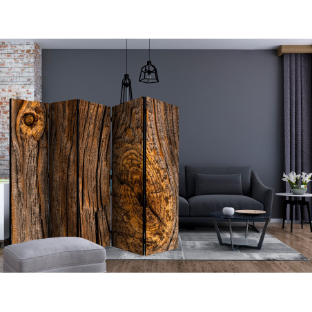 Paravan Old Tree Ii [Room Dividers] 225 cm x 172 cm-01