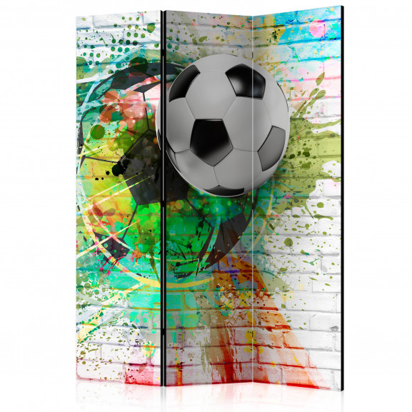 Paravan Colourful Sport [Room Dividers] 135 cm x 172 cm