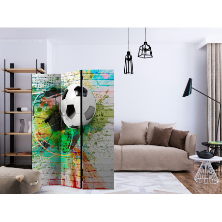 Paravan Colourful Sport [Room Dividers] 135 cm x 172 cm-01