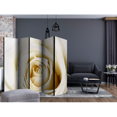 Paravan Pearl Maze Ii [Room Dividers] 225 cm x 172 cm-01