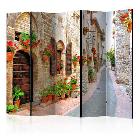 Paravan Italian Province Ii [Room Dividers] 225 cm x 172 cm-01
