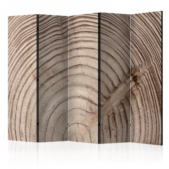 Paravan Wood Grain Ii [Room Dividers] 225 cm x 172 cm
