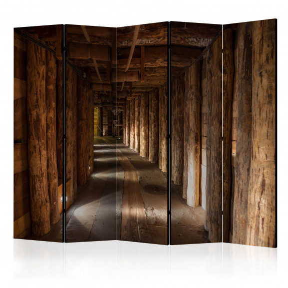 Paravan Wieliczka Ii [Room Dividers] 225 cm x 172 cm