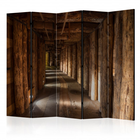 Paravan Wieliczka Ii [Room Dividers] 225 cm x 172 cm-01