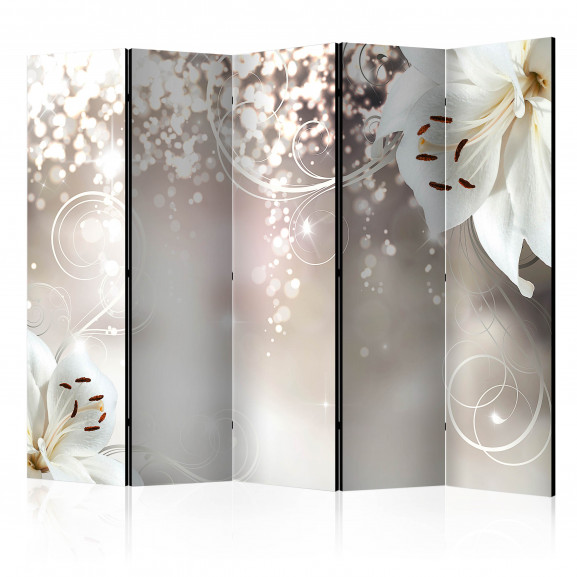 Paravan Magic Composition Ii [Room Dividers] 225 cm x 172 cm