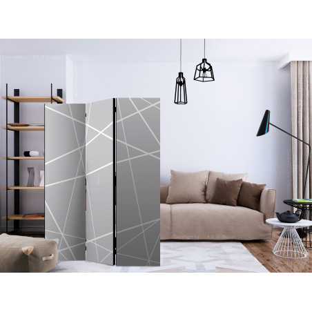 Paravan Modern Cobweb [Room Dividers] 135 cm x 172 cm-01