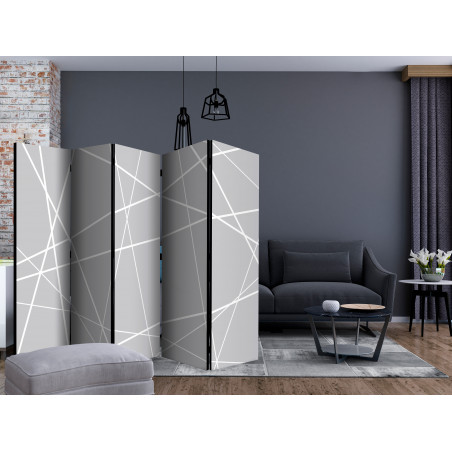 Paravan Modern Cobweb Ii [Room Dividers] 225 cm x 172 cm-01