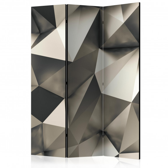 Paravan Cosmic Silver [Room Dividers] 135 cm x 172 cm