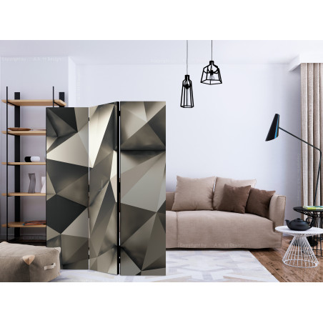 Paravan Cosmic Silver [Room Dividers] 135 cm x 172 cm-01