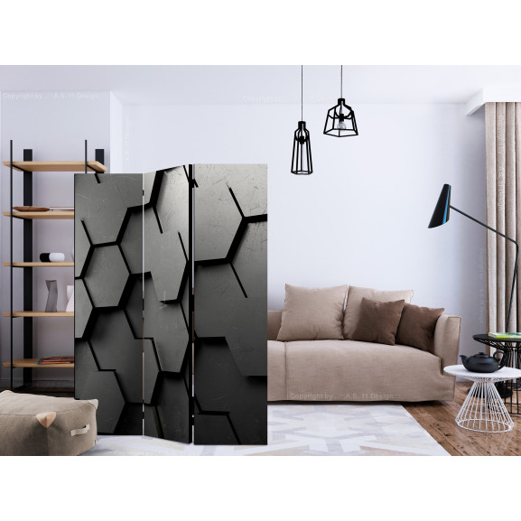 Paravan black gate [room dividers] 135 cm x 172 cm