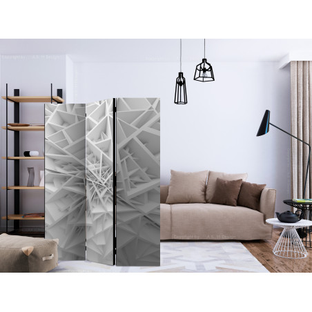 Paravan White Spider'S Web [Room Dividers] 135 cm x 172 cm-01