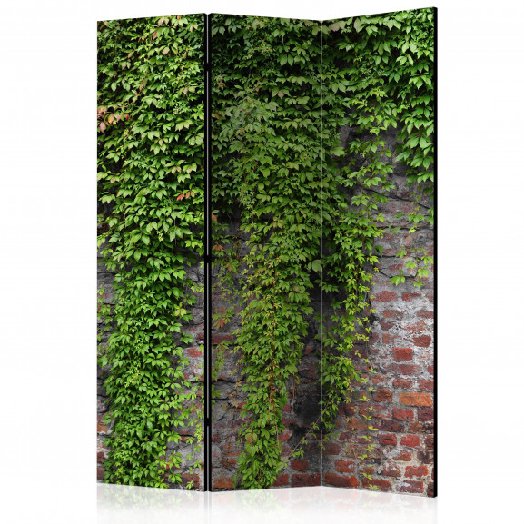 Paravan Brick And Ivy [Room Dividers] 135 cm x 172 cm