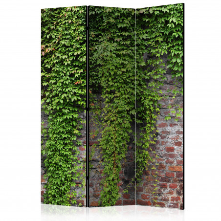 Paravan Brick And Ivy [Room Dividers] 135 cm x 172 cm-01