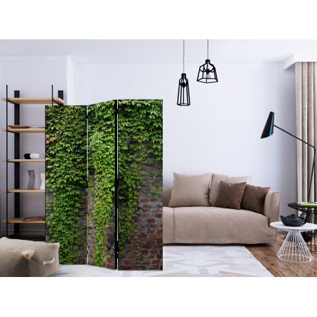 Paravan Brick And Ivy [Room Dividers] 135 cm x 172 cm-01