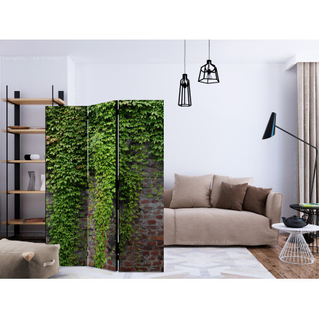 Paravan Brick And Ivy [Room Dividers] 135 cm x 172 cm-01