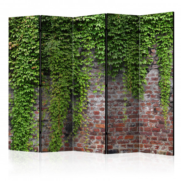Paravan Brick And Ivy Ii [Room Dividers] 225 cm x 172 cm