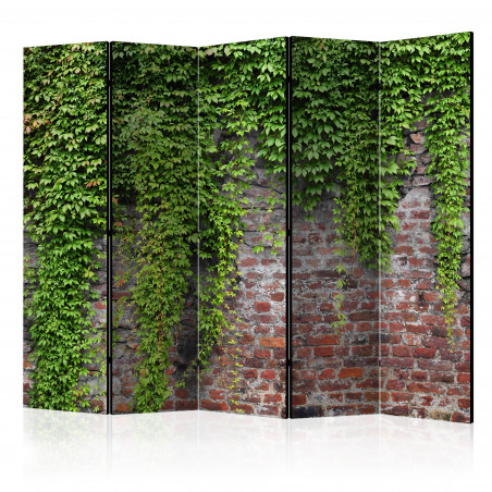 Paravan Brick And Ivy Ii [Room Dividers] 225 cm x 172 cm-01