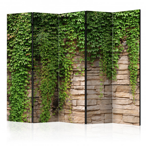 Paravan Ivy Wall Ii [Room Dividers] 225 cm x 172 cm