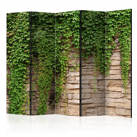 Paravan Ivy Wall Ii [Room Dividers] 225 cm x 172 cm-01