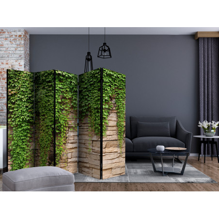 Paravan Ivy Wall Ii [Room Dividers] 225 cm x 172 cm-01
