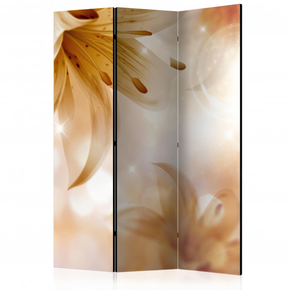 Paravan Queens Of Summer [Room Dividers] 135 cm x 172 cm