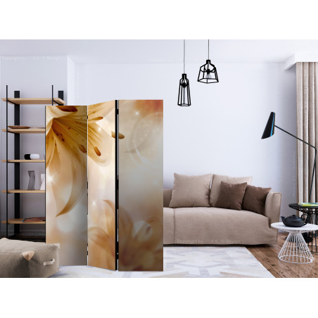 Paravan Queens Of Summer [Room Dividers] 135 cm x 172 cm-01