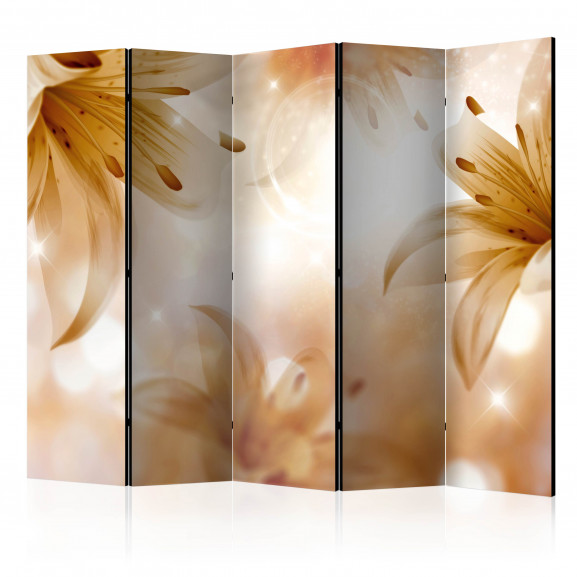 Paravan Queens Of Summer Ii [Room Dividers] 225 cm x 172 cm