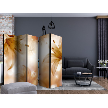 Paravan Queens Of Summer Ii [Room Dividers] 225 cm x 172 cm-01