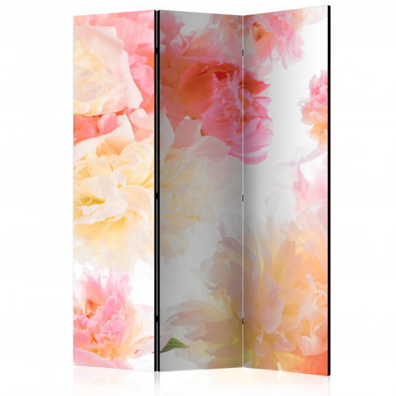 Paravan Pastel Peonies [Room Dividers] 135 cm x 172 cm