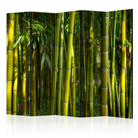 Paravan Oriental Garden Ii [Room Dividers] 225 cm x 172 cm-01
