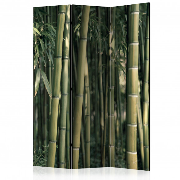 Paravan Bamboo Exotic [Room Dividers] 135 cm x 172 cm
