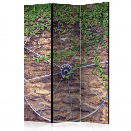 Paravan Wheel Of Time [Room Dividers] 135 cm x 172 cm-01