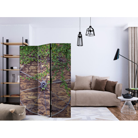 Paravan Wheel Of Time [Room Dividers] 135 cm x 172 cm-01