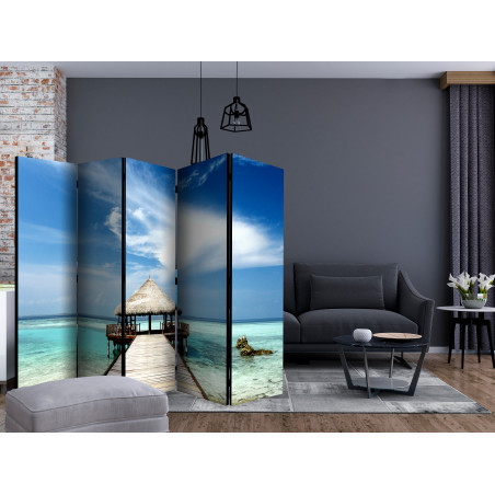 Paravan Holiday Adventure Ii [Room Dividers] 225 cm x 172 cm-01