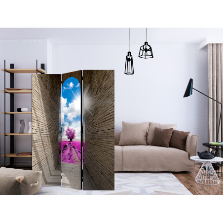 Paravan Magical Passage [Room Dividers] 135 cm x 172 cm-01